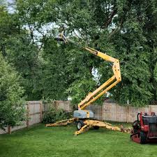 Mulching Services in Cushing, OK
