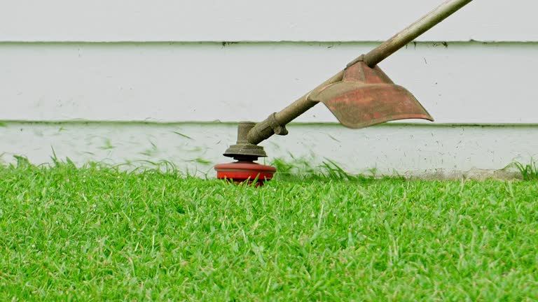 Best Sod Installation  in Cushing, OK